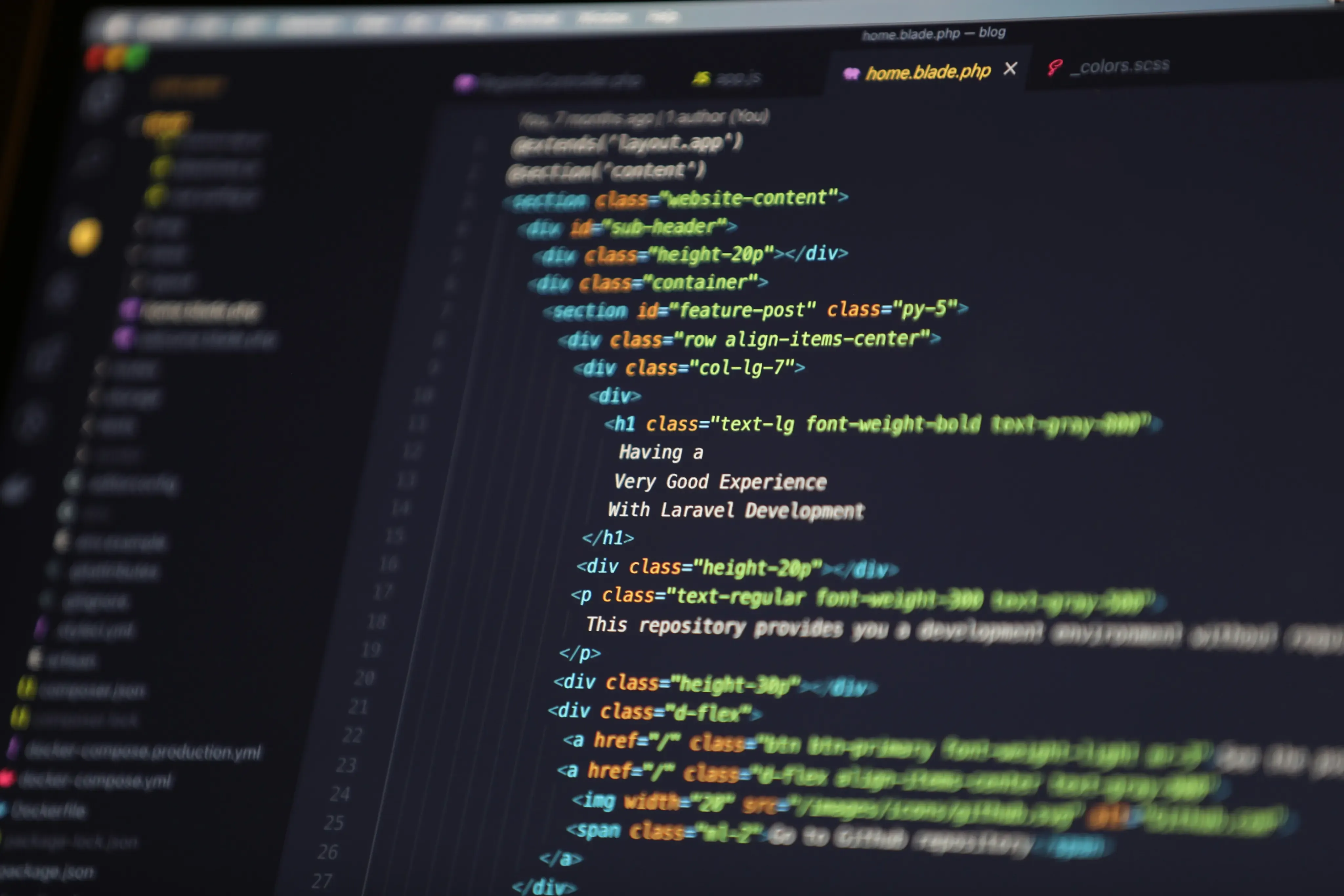 Web Design